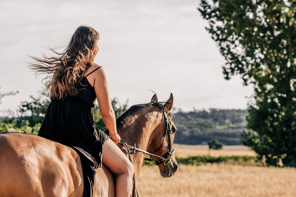A lady riding a horse through an open field